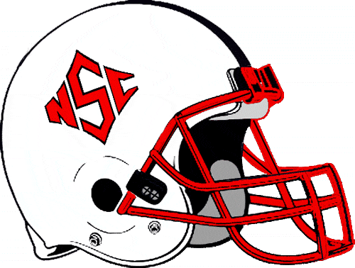 North Carolina State Wolfpack 1986-1998 Helmet Logo diy iron on heat transfer